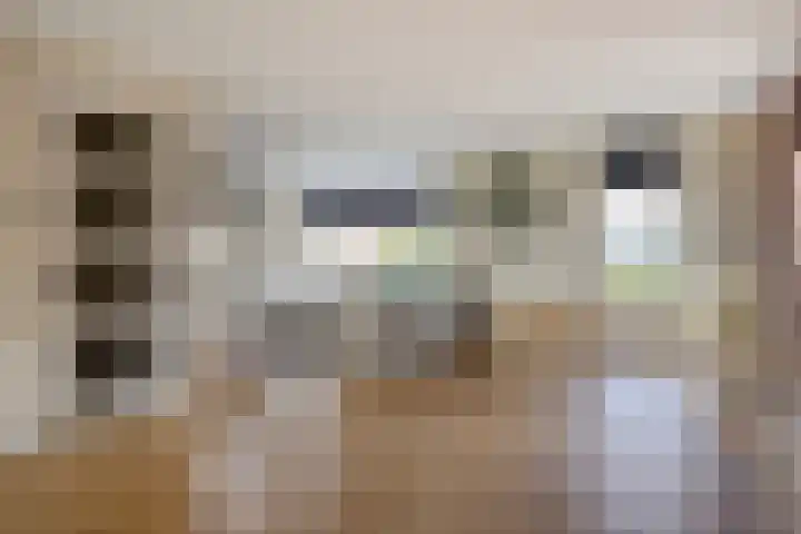 Kleine Hassel 11 Lage Mierde thumbnail 7