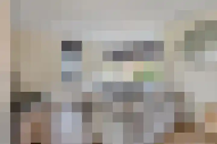 Kleine Hassel 11 Lage Mierde thumbnail 8
