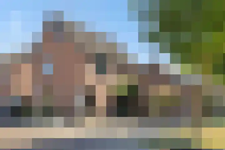 Kleine Vos 2 Deurne