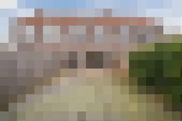 Kleine Vos 4 in Deurne