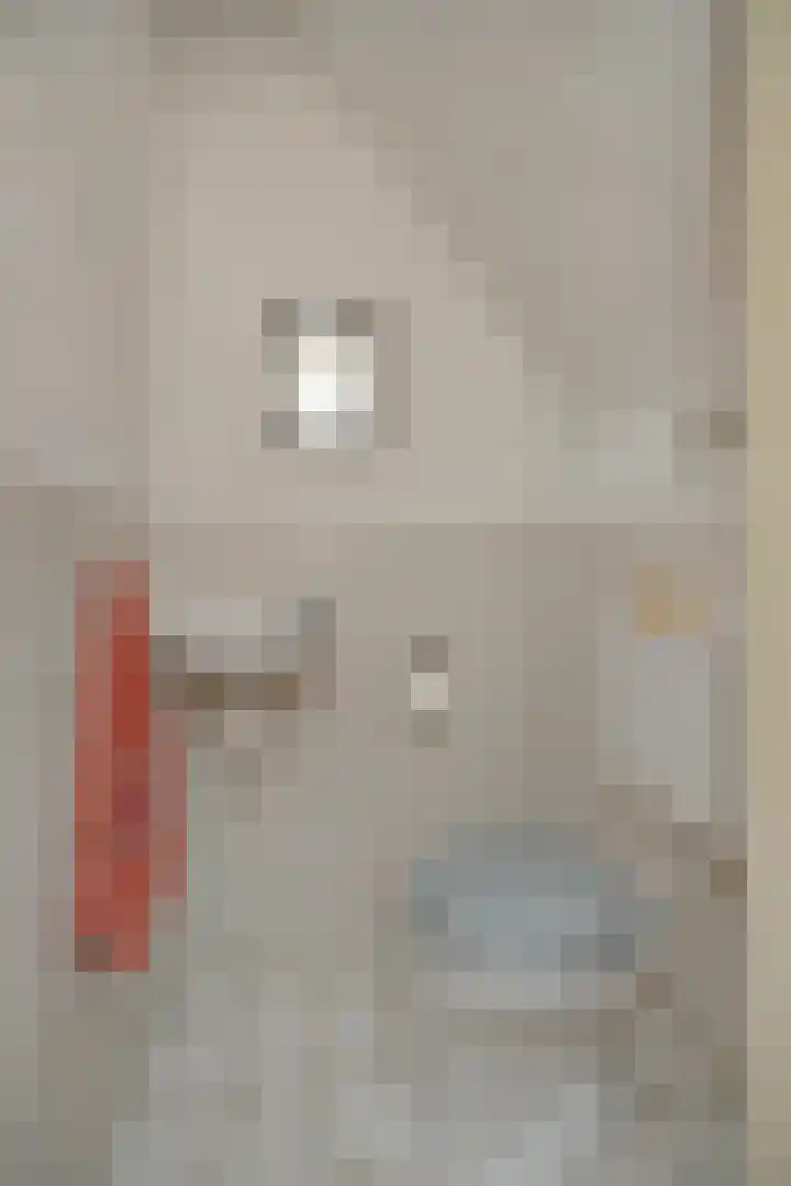 Kleine Vos 4 Deurne thumbnail 10