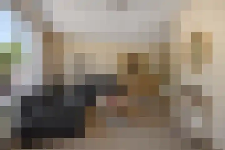 Kleine Vos 4 Deurne thumbnail 11