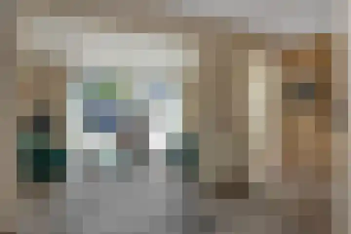 Kleine Vos 4 Deurne thumbnail 13