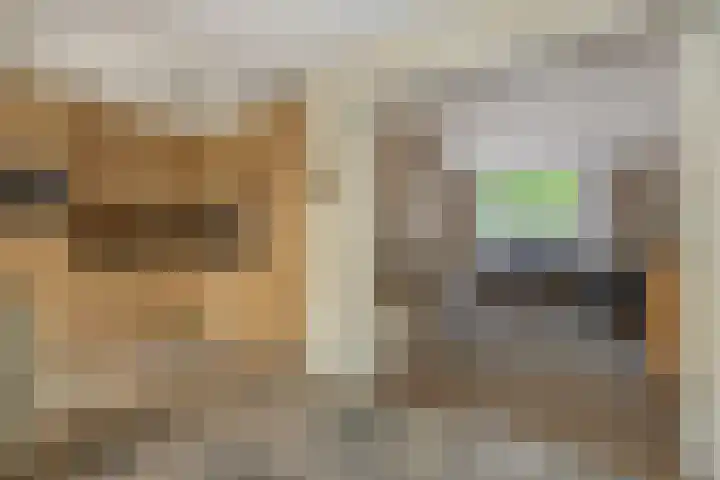Kleine Vos 4 Deurne thumbnail 17