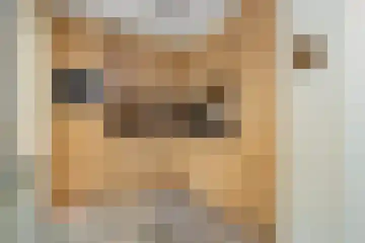 Kleine Vos 4 Deurne thumbnail 18