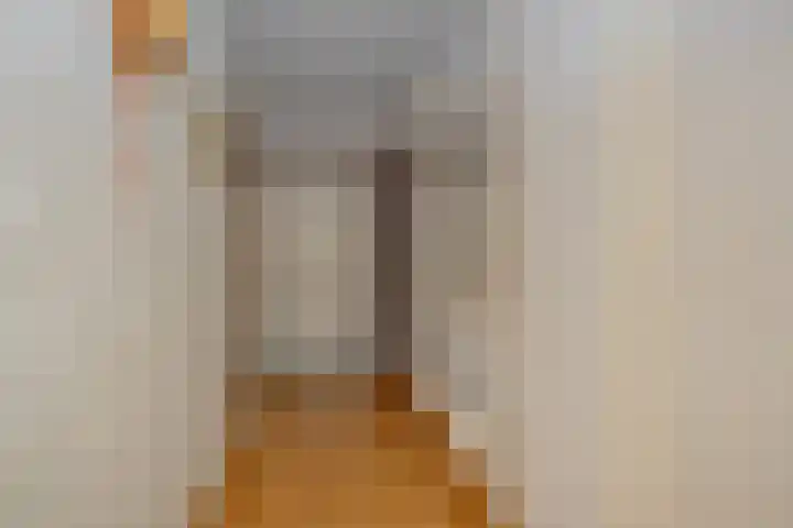 Kleine Vos 4 Deurne thumbnail 19