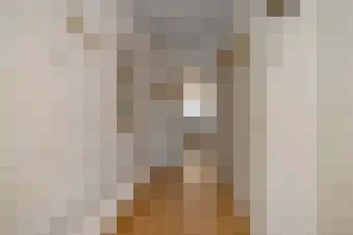 Kleine Vos 4 Deurne thumbnail 20