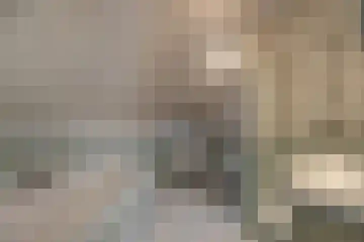 Kleine Vos 4 Deurne thumbnail 27