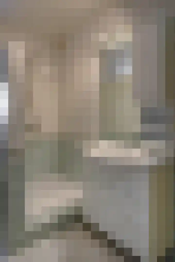 Kleine Vos 4 Deurne thumbnail 28