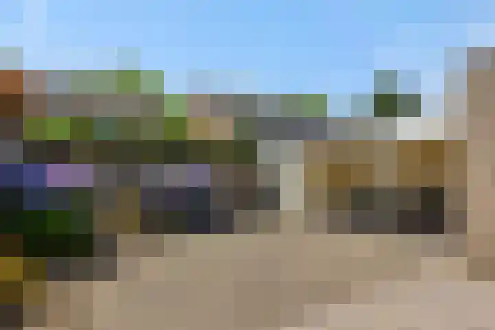 Kleine Vos 4 Deurne thumbnail 35