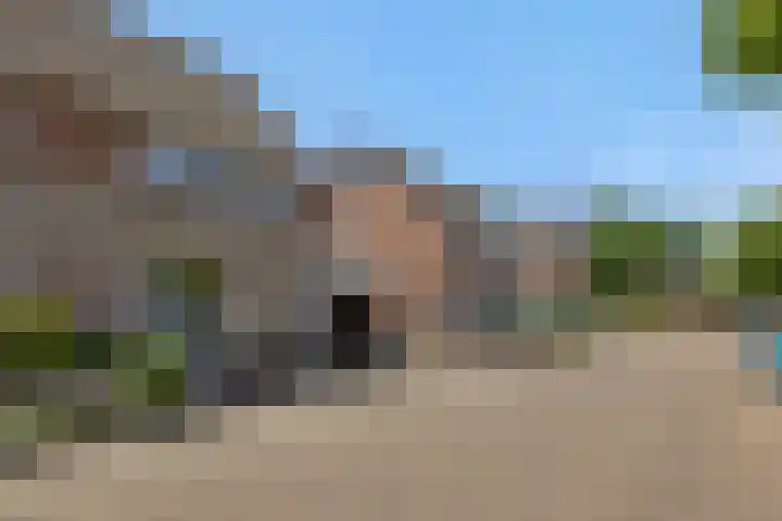 Kleine Vos 4 Deurne thumbnail 41
