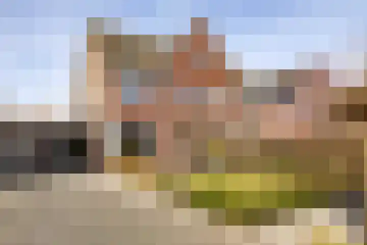 Kleine vos 6 dans Sneek