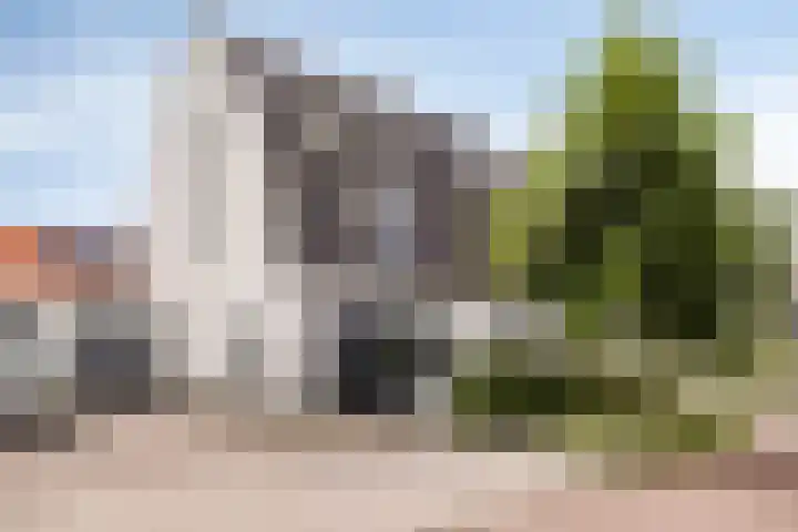 Kleine Vuurvlinder 33 dans Mierlo