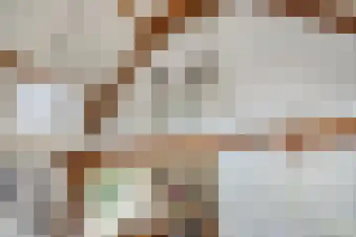 Kleinestraat 22 Drunen thumbnail 10