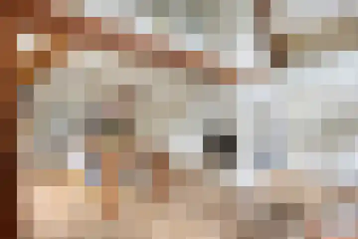 Kleinestraat 22 Drunen thumbnail 11