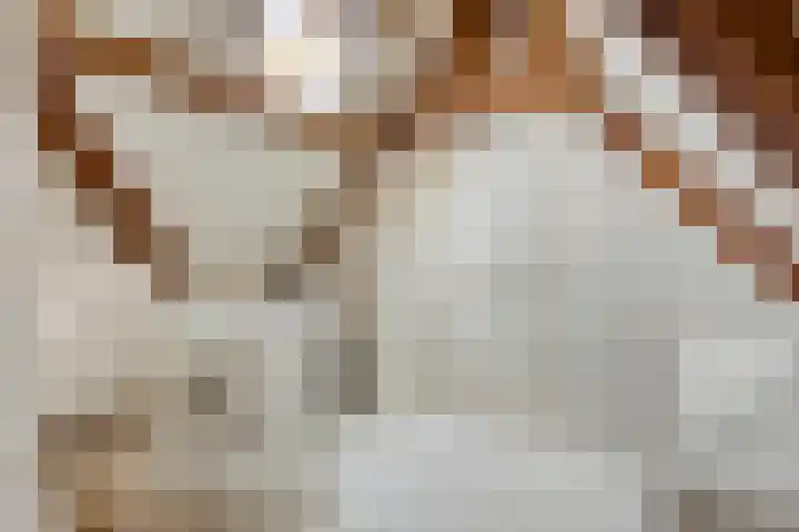 Kleinestraat 22 Drunen thumbnail 31