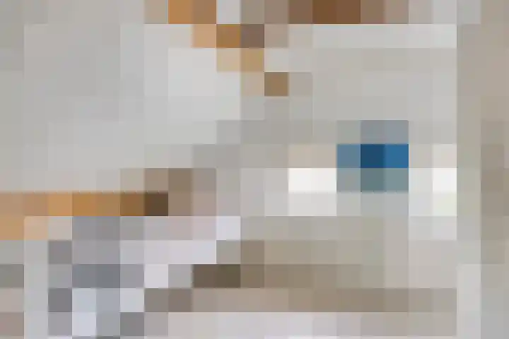 Kleinestraat 22 Drunen thumbnail 38