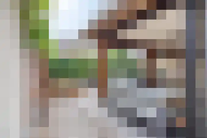 Kleinestraat 22 Drunen thumbnail 43