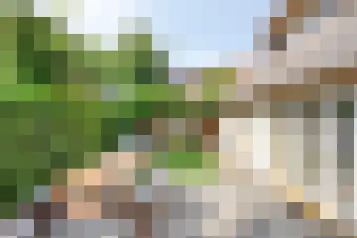 Kleinestraat 22 Drunen thumbnail 49