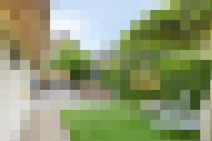 Kleinestraat 22 Drunen thumbnail 5
