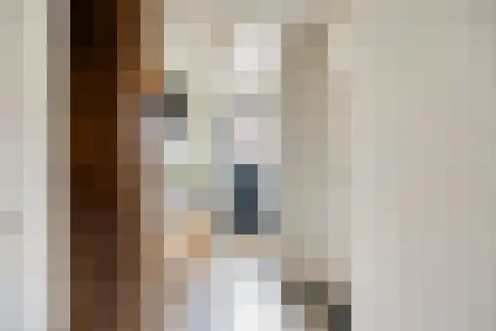 Kleinestraat 22 Drunen thumbnail 8