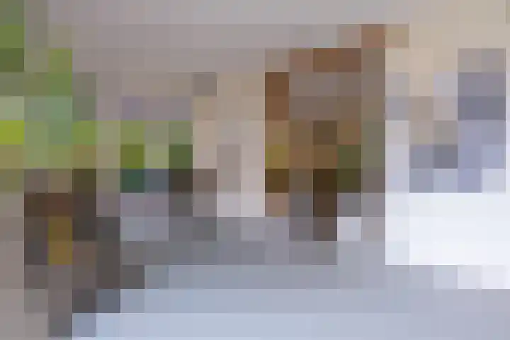Kleingouw 180 Andijk thumbnail 12