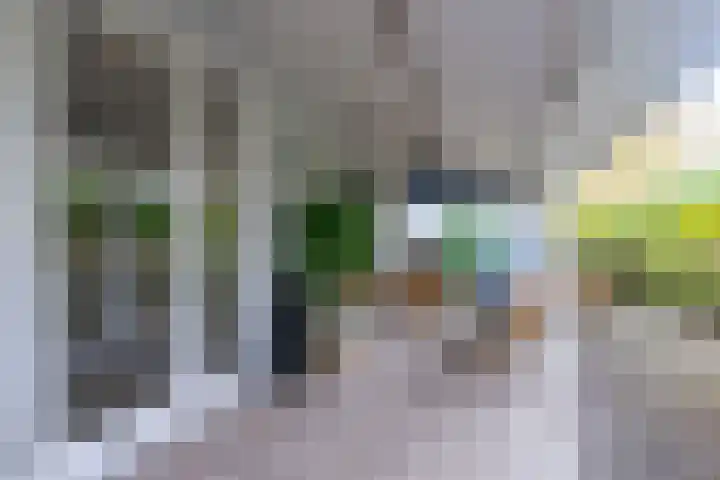 Kleingouw 180 Andijk thumbnail 30