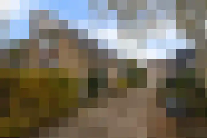 Kleingouw 180 Andijk thumbnail 49