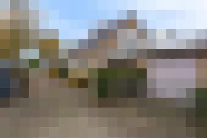 Kleingouw 180 Andijk thumbnail 50