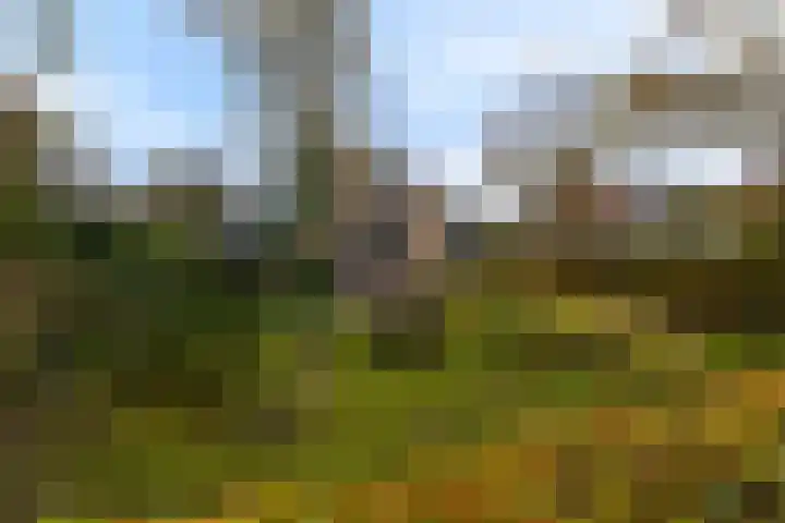 Kleingouw 180 Andijk thumbnail 51