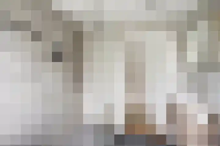 Kleingouw 36 a Andijk thumbnail 19