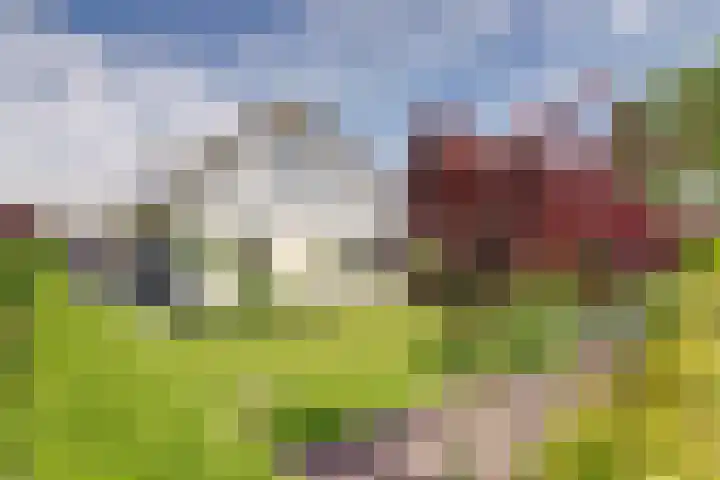 Kleingouw 36 a Andijk thumbnail 28