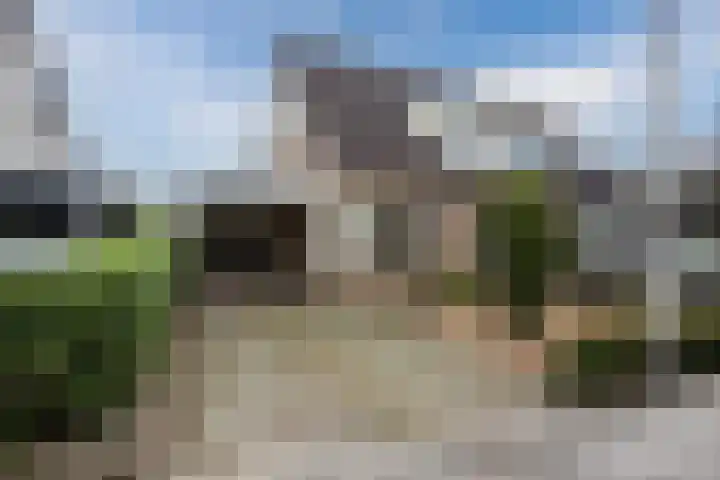 Kleinhaar 22 Kloosterhaar