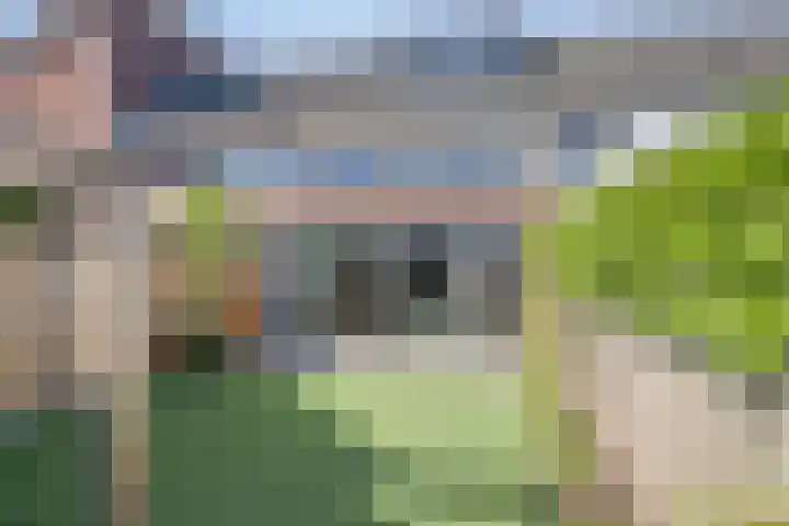Kleinmansbeek 6 Barneveld thumbnail 32