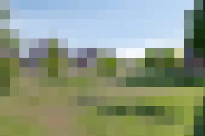 Kleinmansbeek 6 Barneveld thumbnail 36