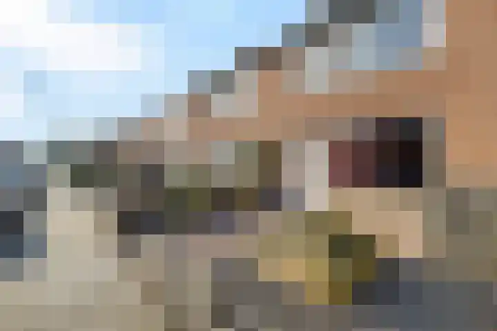 Kleinzand 23 Drachten thumbnail 7