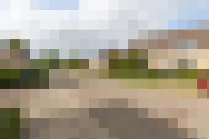 Kleipeer 7 Duiven thumbnail 51