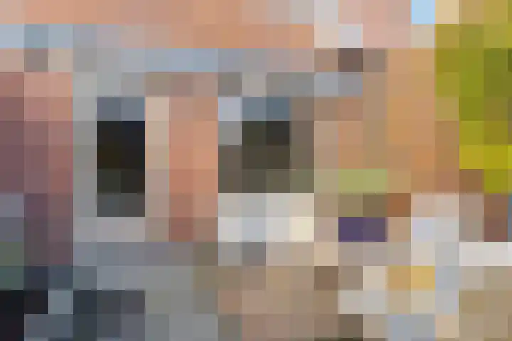 Kleiput 5 Kampen thumbnail 24