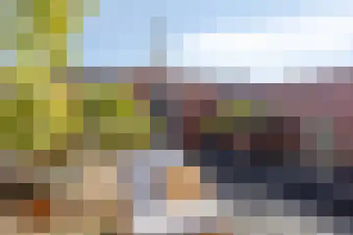 Kleiput 5 Kampen thumbnail 25
