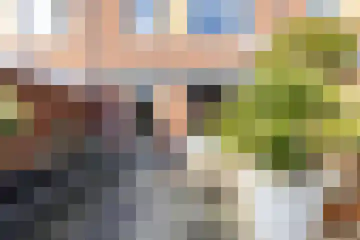 Kleiput 5 Kampen thumbnail 26