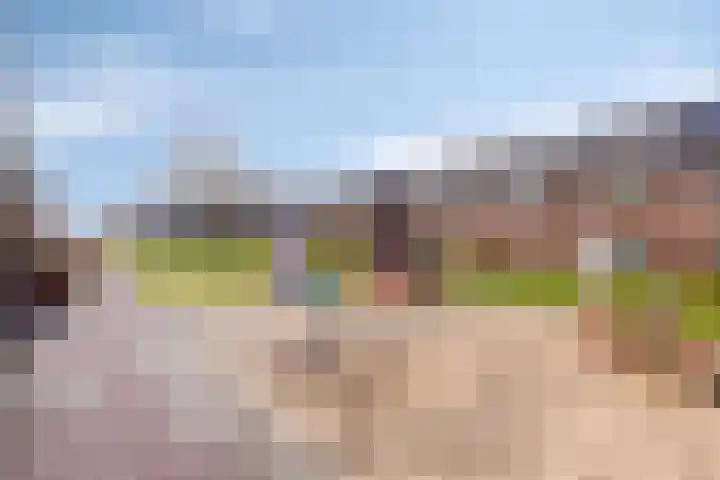 Kleiput 5 Kampen thumbnail 33