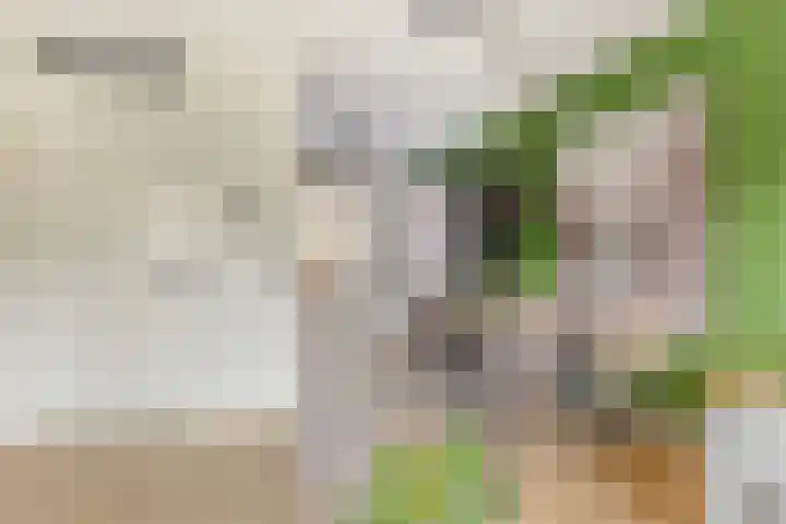 Kleiput 5 Kampen thumbnail 8