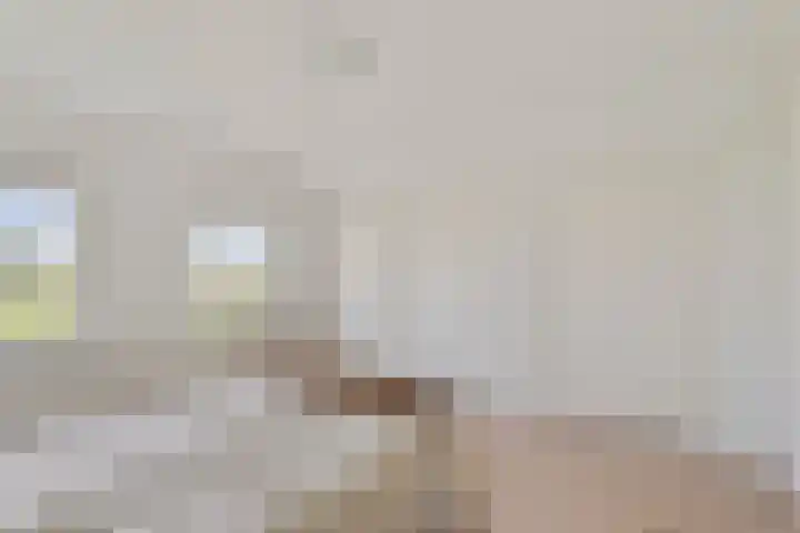 Kleistraat 3 Chaam thumbnail 20