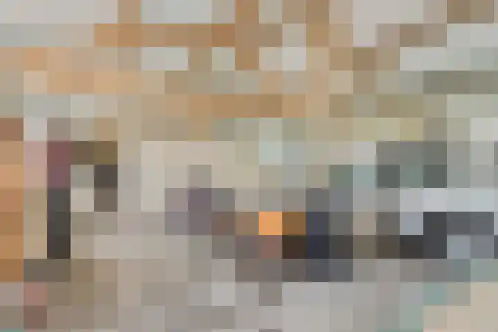 Kleistraat 3 Chaam thumbnail 23