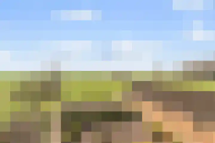 Kleistraat 3 Chaam thumbnail 30