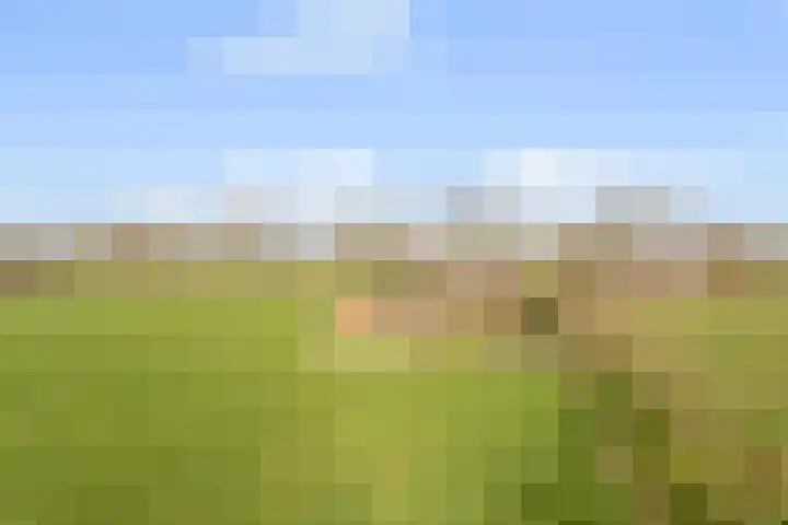 Kleistraat 3 Chaam thumbnail 32