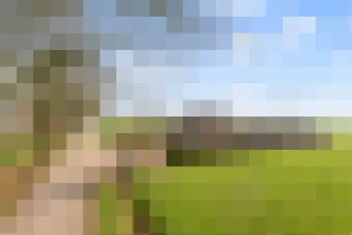 Kleistraat 3 Chaam thumbnail 33