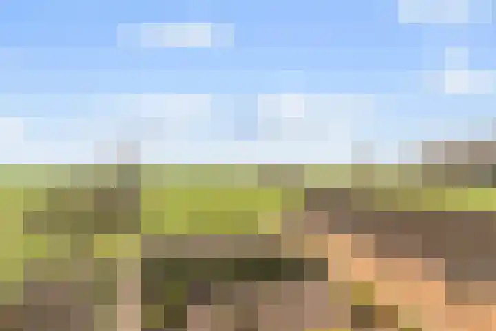 Kleistraat 3 Chaam thumbnail 4