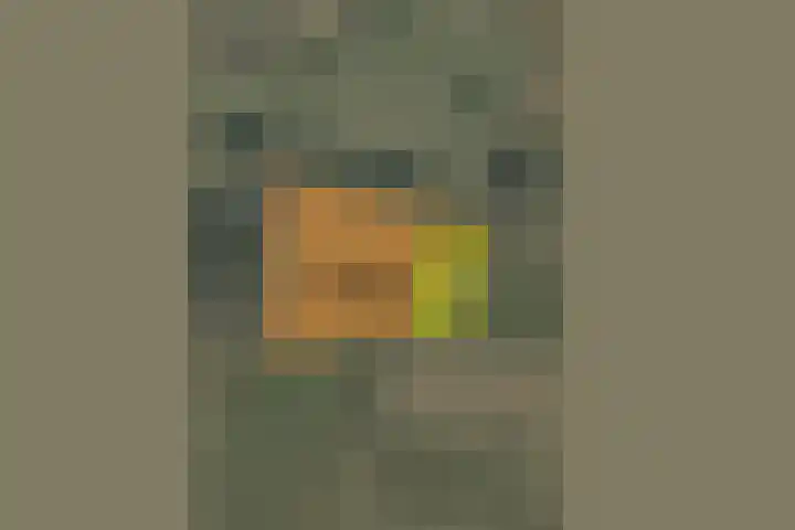 Kleistraat 3 Chaam thumbnail 5