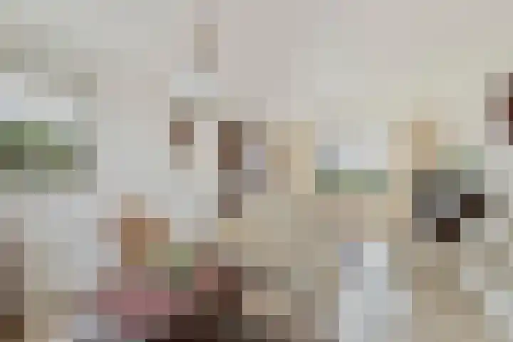 Kleistraat 3 Chaam thumbnail 7